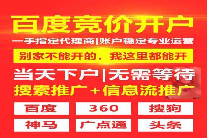 百度优化推广策略解析与应用案例
